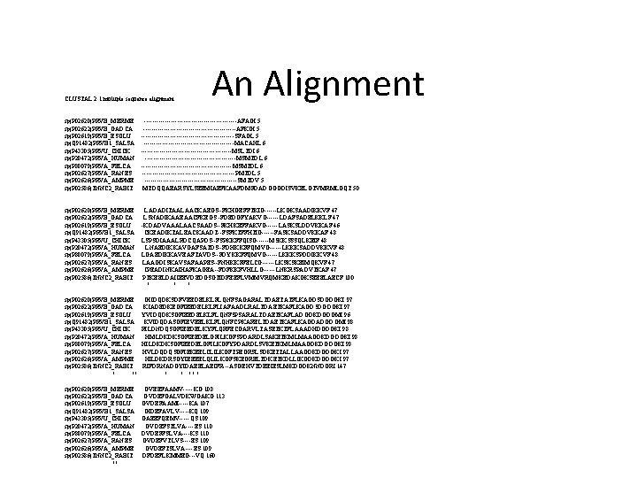 CLUSTAL 2. 1 multiple sequence alignment sp|P 02620|PRVB_MERME sp|P 02622|PRVB_GADCA sp|P 02619|PRVB_ESOLU sp|Q 91482|PRVB