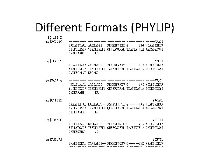 Different Formats (PHYLIP) 