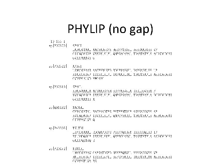 PHYLIP (no gap) 