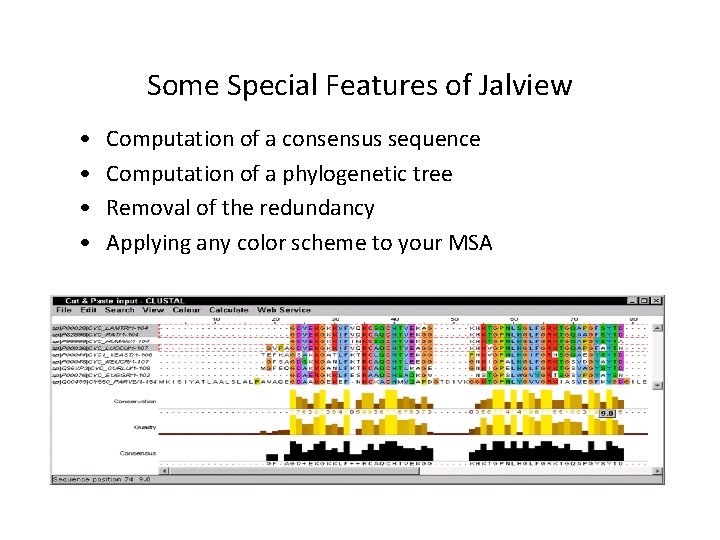 Some Special Features of Jalview • • Computation of a consensus sequence Computation of