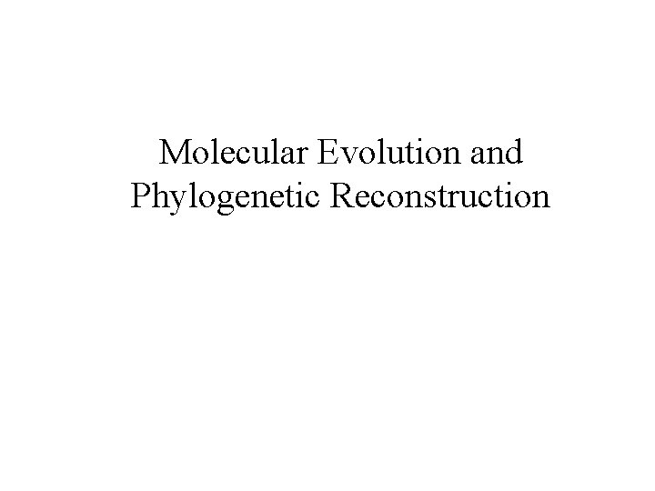 Molecular Evolution and Phylogenetic Reconstruction 