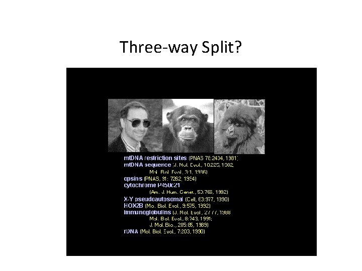 Three-way Split? 