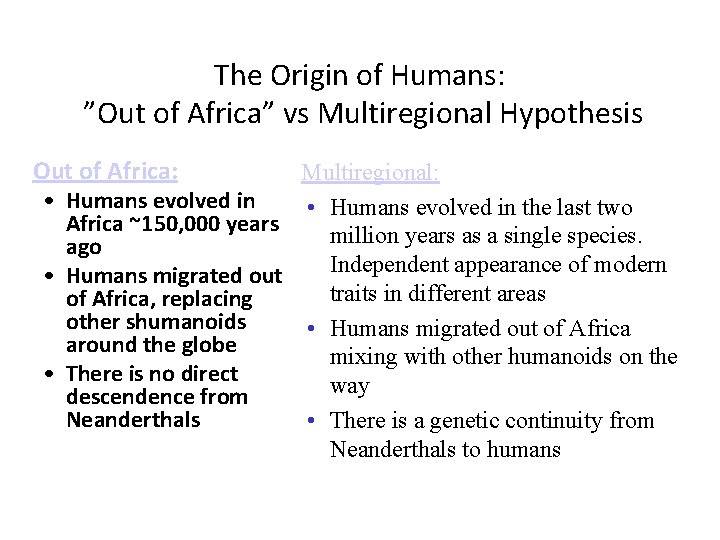 The Origin of Humans: ”Out of Africa” vs Multiregional Hypothesis Out of Africa: Multiregional: