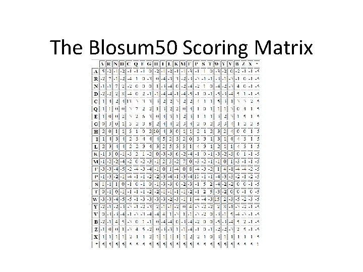 The Blosum 50 Scoring Matrix 