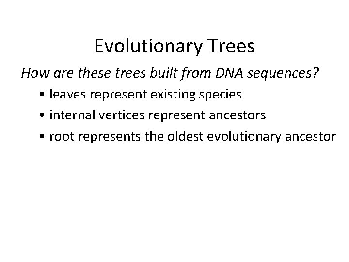 Evolutionary Trees How are these trees built from DNA sequences? • leaves represent existing