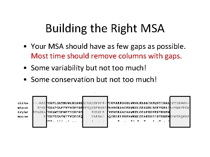 Building the Right MSA • Your MSA should have as few gaps as possible.