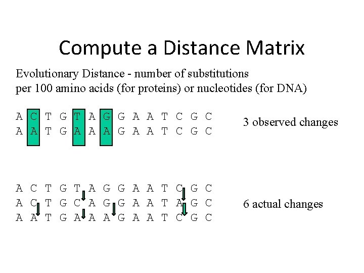 Compute a Distance Matrix Evolutionary Distance - number of substitutions per 100 amino acids