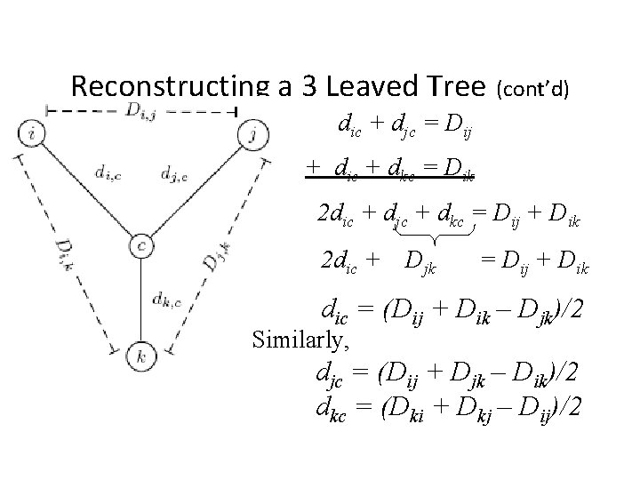 Reconstructing a 3 Leaved Tree (cont’d) dic + djc = Dij + dic +