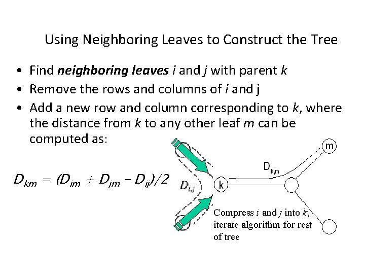 Using Neighboring Leaves to Construct the Tree • Find neighboring leaves i and j