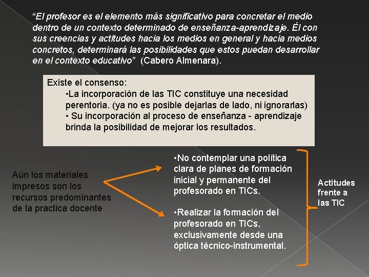 “El profesor es el elemento más significativo para concretar el medio dentro de un