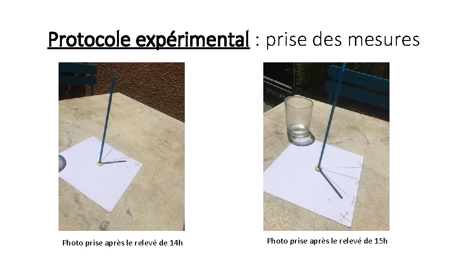 Protocole expérimental : prise des mesures Photo prise après le relevé de 14 h