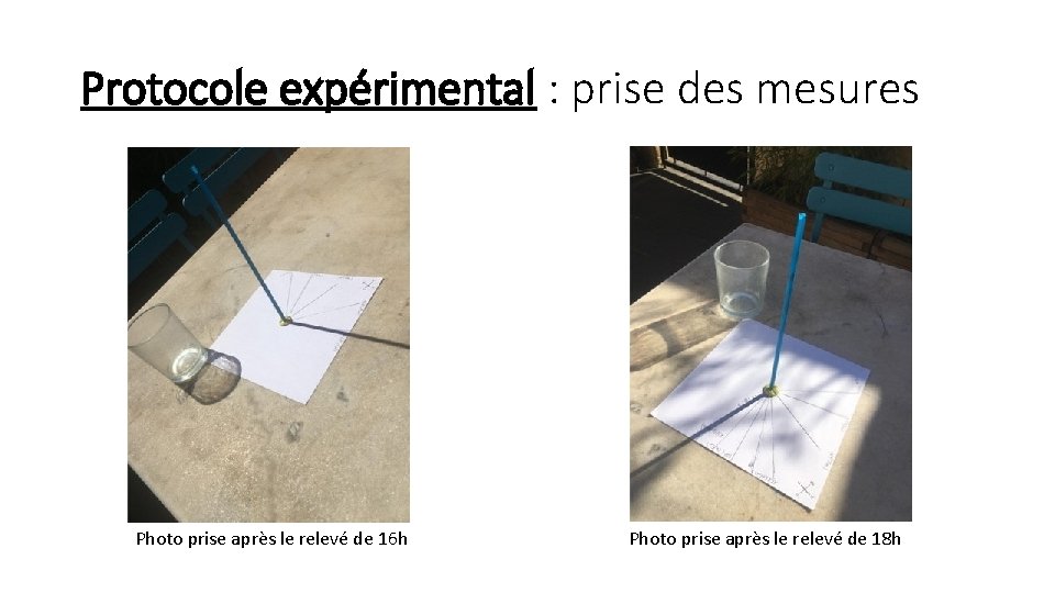 Protocole expérimental : prise des mesures Photo prise après le relevé de 16 h