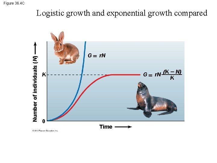 Figure 36. 4 C Number of individuals (N) Logistic growth and exponential growth compared
