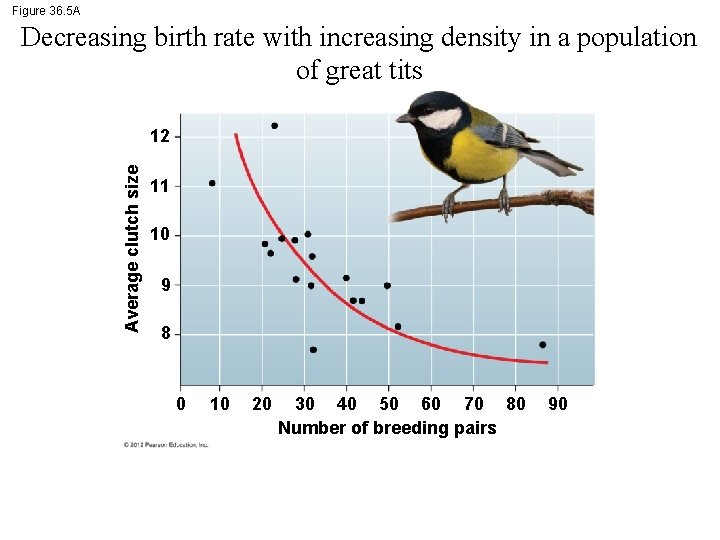 Figure 36. 5 A Decreasing birth rate with increasing density in a population of