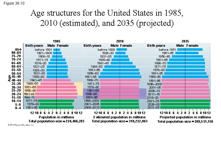 Figure 36. 10 Age structures for the United States in 1985, 2010 (estimated), and