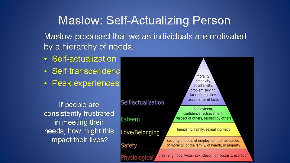 Maslow: Self-Actualizing Person Maslow proposed that we as individuals are motivated by a hierarchy