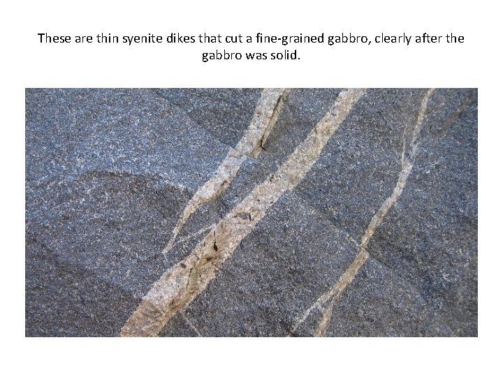 These are thin syenite dikes that cut a fine-grained gabbro, clearly after the gabbro