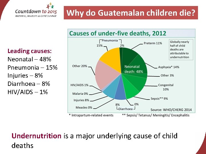Why do Guatemalan children die? Leading causes: Neonatal – 48% Pneumonia – 15% Injuries