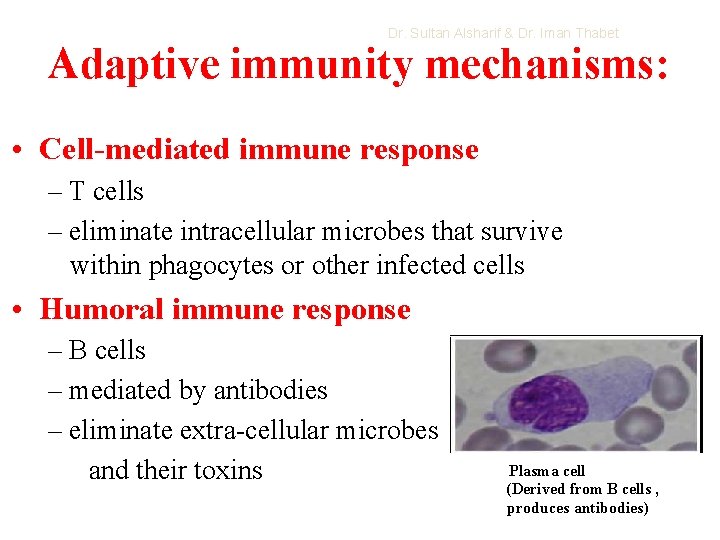 Dr. Sultan Alsharif & Dr. Iman Thabet Adaptive immunity mechanisms: • Cell-mediated immune response