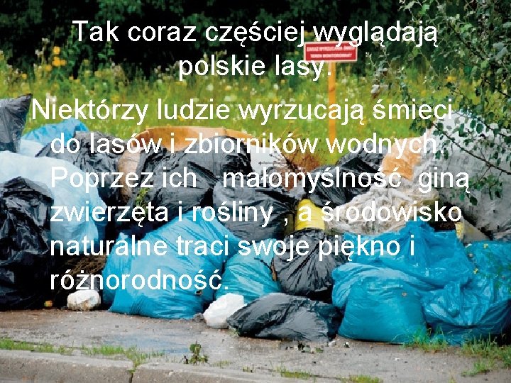 Tak coraz częściej wyglądają polskie lasy. Niektórzy ludzie wyrzucają śmieci do lasów i zbiorników