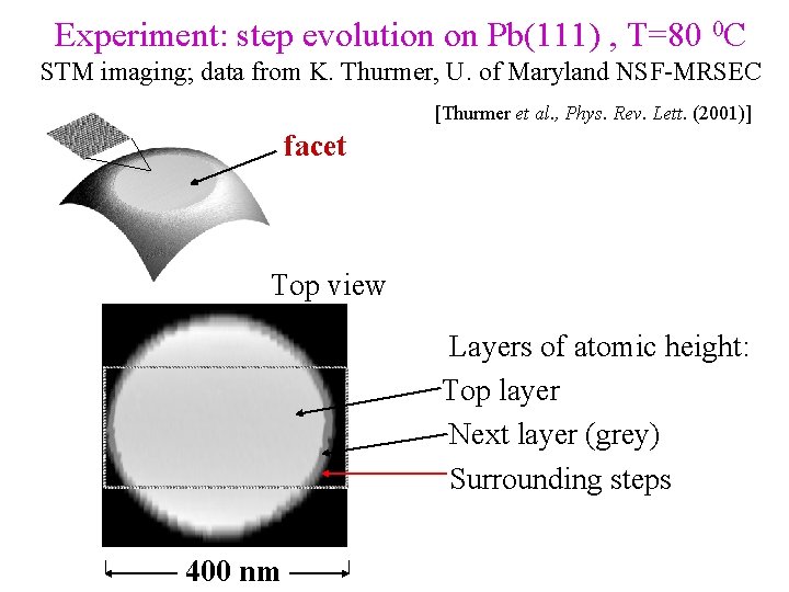 Experiment: step evolution on Pb(111) , T=80 0 C STM imaging; data from K.