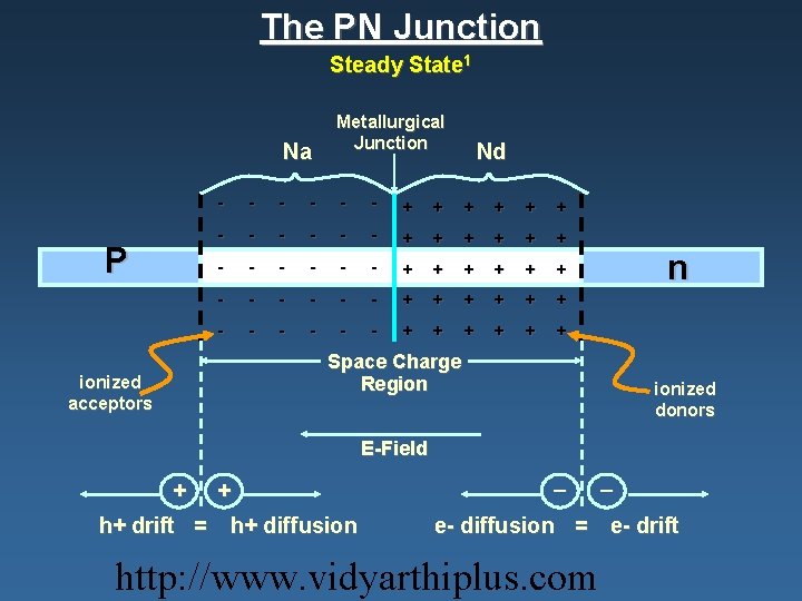 The PN Junction Steady State 1 Na P ionized acceptors Metallurgical Junction Nd -