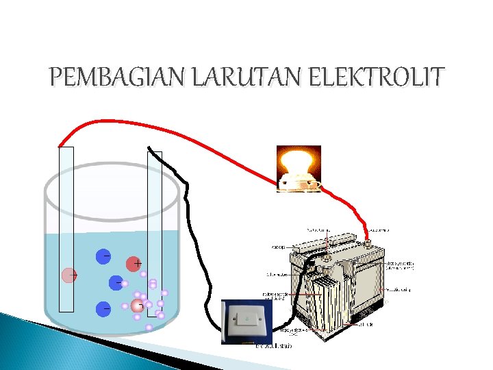 PEMBAGIAN LARUTAN ELEKTROLIT + - + + 