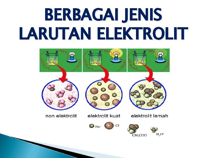 BERBAGAI JENIS LARUTAN ELEKTROLIT 