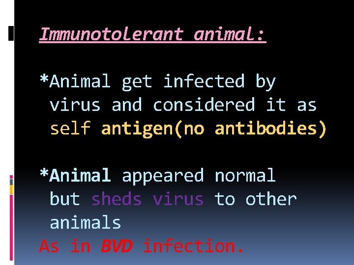 Immunotolerant animal: *Animal get infected by virus and considered it as self antigen(no antibodies)