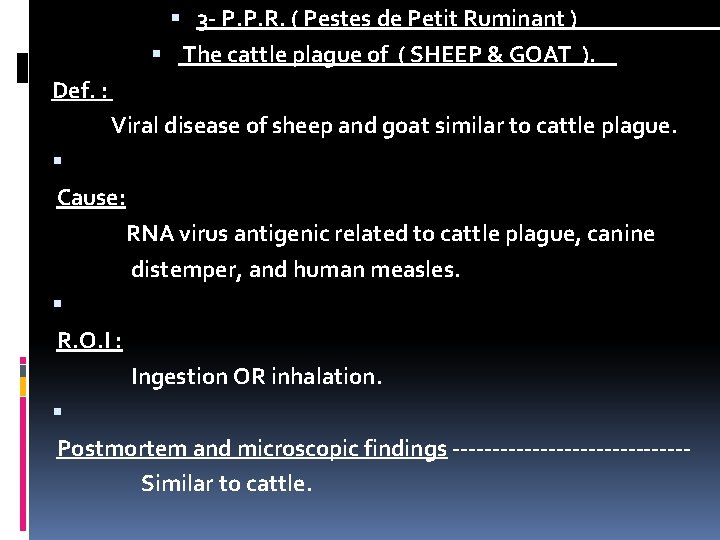  3 - P. P. R. ( Pestes de Petit Ruminant ) The cattle