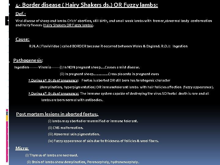  4 - Border disease ( Hairy Shakers ds. ) OR Fuzzy lambs: Def.