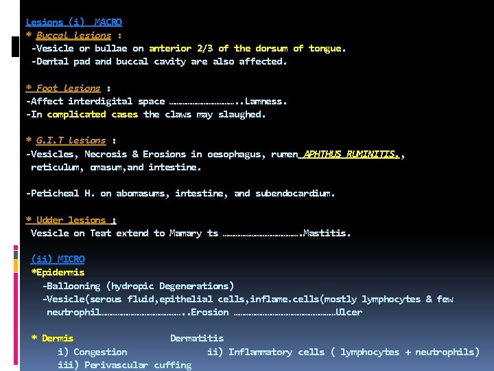 Lesions (i) MACRO * Buccal lesions : -Vesicle or bullae on anterior 2/3 of