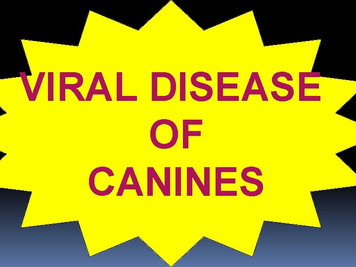 VIRAL DISEASE OF CANINES 