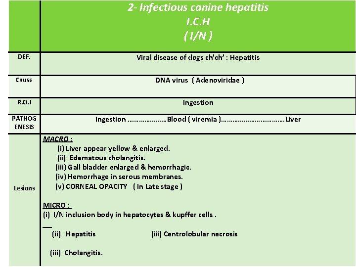 2 - Infectious canine hepatitis I. C. H ( I/N ) DEF. Viral disease