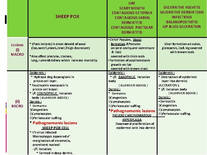 SHEEP POX Lesions (i) MACRO (ii) MICRO * (Pock lesions) in areas devoid of