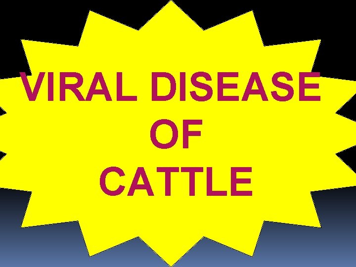 VIRAL DISEASE OF CATTLE 