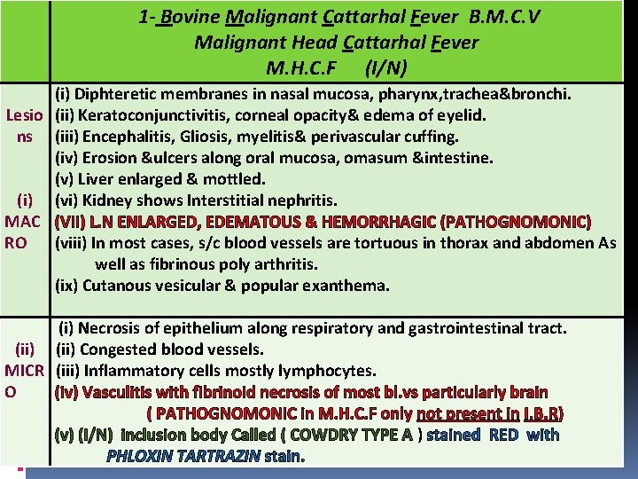 1 - Bovine Malignant Cattarhal Fever B. M. C. V Malignant Head Cattarhal Fever