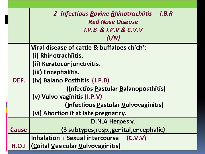 2 - Infectious Bovine Rhinotrachiitis I. B. R Red Nose Disease I. P. B