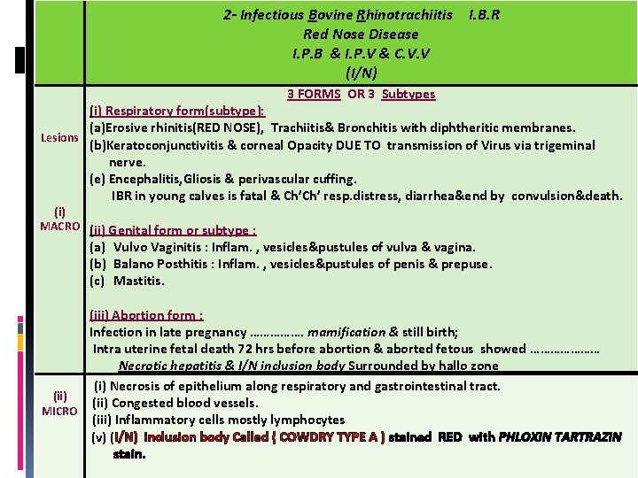 2 - Infectious Bovine Rhinotrachiitis Red Nose Disease I. P. B & I. P.