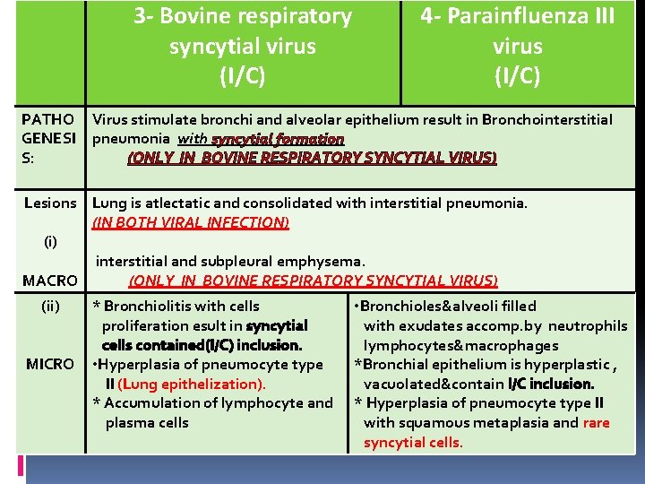 3 - Bovine respiratory syncytial virus (I/C) 4 - Parainfluenza III virus (I/C) PATHO