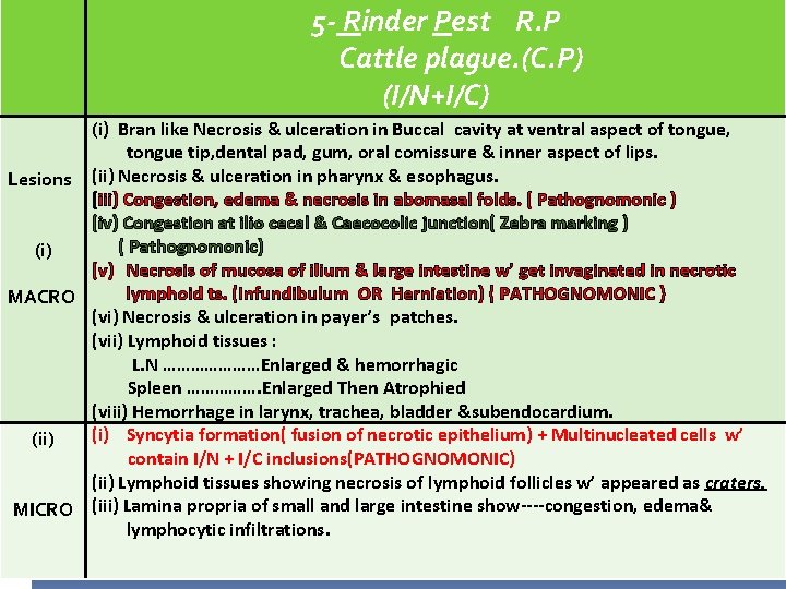 5 - Rinder Pest R. P Cattle plague. (C. P) (I/N+I/C) (i) Bran like