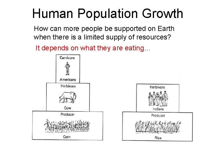 Human Population Growth How can more people be supported on Earth when there is