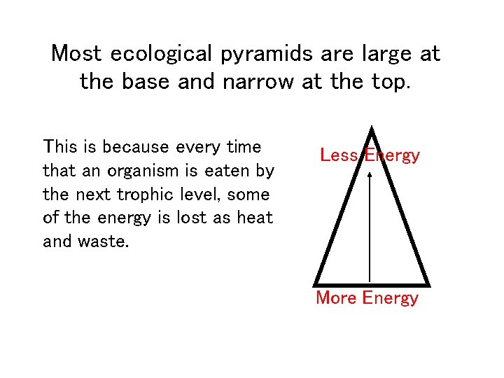 Most ecological pyramids are large at the base and narrow at the top. This