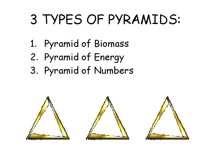 3 TYPES OF PYRAMIDS: 1. Pyramid of Biomass 2. Pyramid of Energy 3. Pyramid