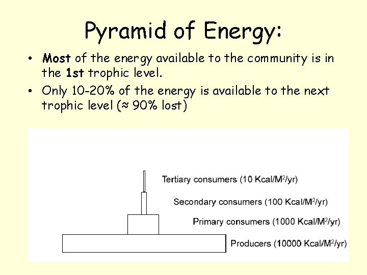 Pyramid of Energy: • Most of the energy available to the community is in