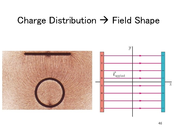 Charge Distribution Field Shape 46 