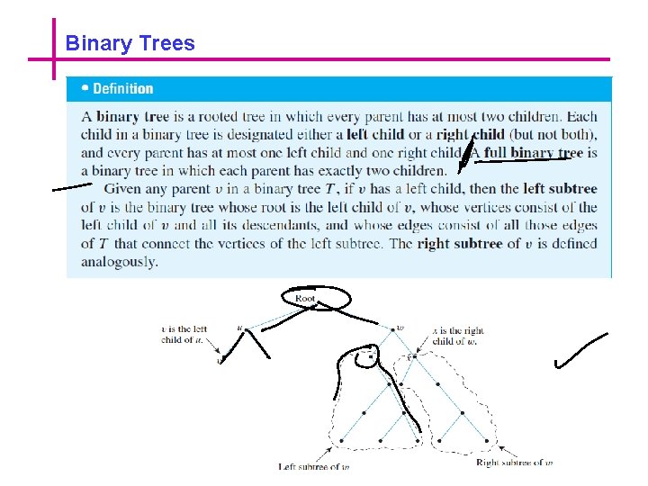 Binary Trees 