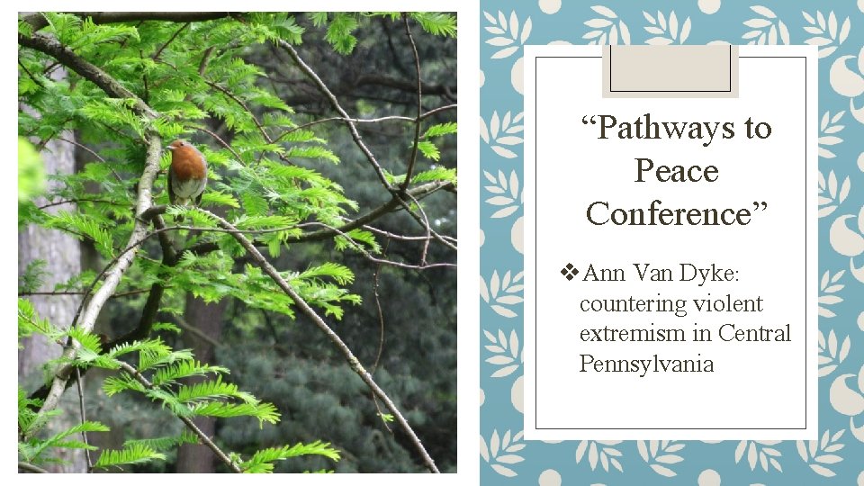 “Pathways to Peace Conference” v. Ann Van Dyke: countering violent extremism in Central Pennsylvania