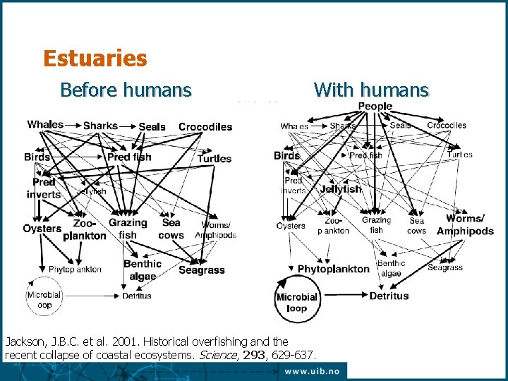 Estuaries Before humans With humans Jackson, J. B. C. et al. 2001. Historical overfishing Estuaries Before humans With humans Jackson, J. B. C. et al. 2001. Historical overfishing
