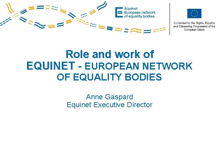 Co-funded by the PROGRESS Programme of the European Union Role and work of EQUINET